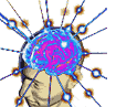 impulsos sexuales Cerebro