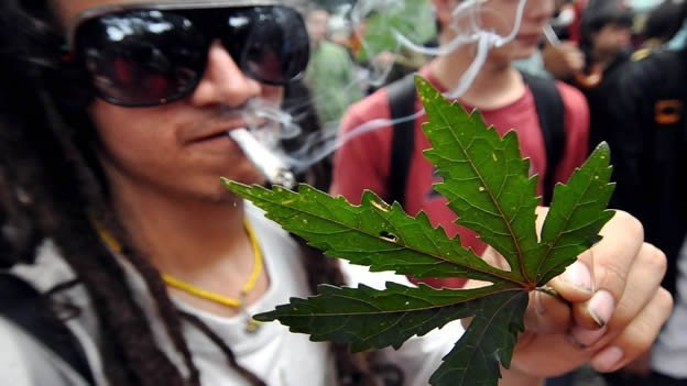 CONSUMO DE MARIHUANA EN MENORES REDUCE LA INTELIGENCIA CONSUMO DE MARIHUANA EN MENORES REDUCE LA INTELIGENCIA