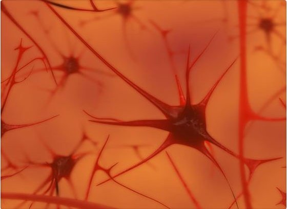 Video: Así es una neurona cuando pensamos
