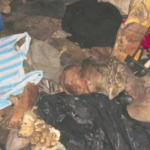 Fotos - Una mujer maltrataba y mataba a sus mascotas Fotos - Una mujer maltrataba y mataba a sus mascotas