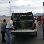 Fotos: Ahorcan a un perro por la presencia de Felipe Calderón Fotos: Ahorcan a un perro por la presencia de Felipe Calderón