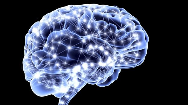 ¿La reinvención del cerebro está cada vez más cerca?