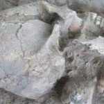 Hallan en Sonora cráneo de un allien - Fotos y video Hallan en Sonora cráneo de un allien - Fotos y video