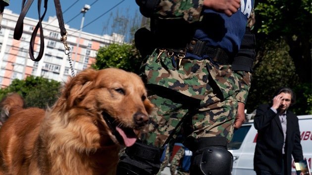 Perro evitó el secuestro de una niña