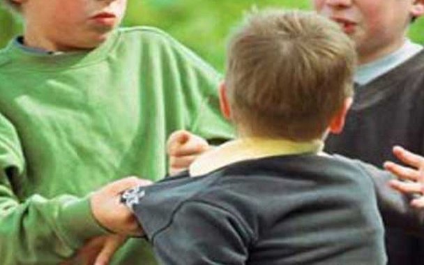 Un niño de siete años murió por bullying Un niño de siete años murió por bullying