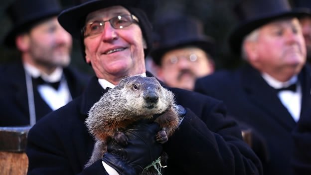 Insólito: la marmota 'Phil' acusada de estafa