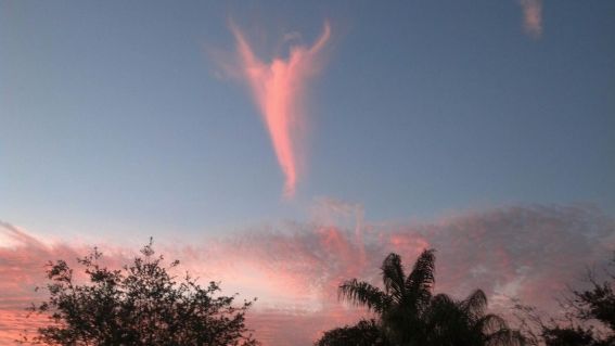 Tras nombramiento del Papa Francisco aparece nube con forma de ángel - Fotos