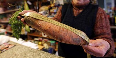 Insólito: Cosecha una zanahoria gigante de 130 centímetros