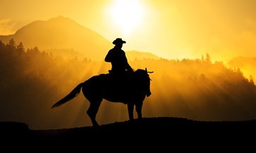 España: Sacrifican caballos pura sangre debido a la crisis económica