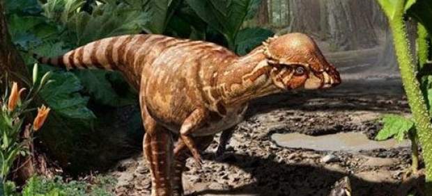 Identifican una nueva especie de dinosaurio