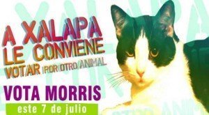 Insólito candidato a la alcaldía de Xalapa - Fotos y video