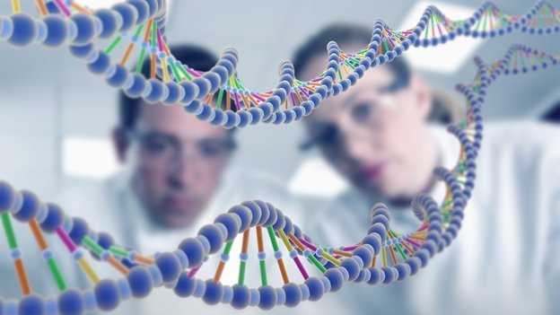¿Por qué los genes humanos no pueden ser patentados?