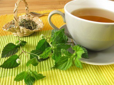 Qué plantas medicinales sirven para qué enfermedades