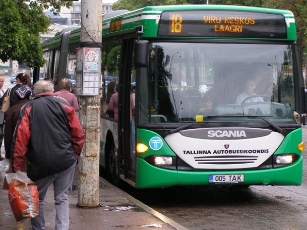 Conoce la ciudad con transporte público gratuito