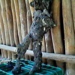 Fotos y video: Bola de fuego atemoriza a mayas de Yucatán Fotos y video: Bola de fuego atemoriza a mayas de Yucatán