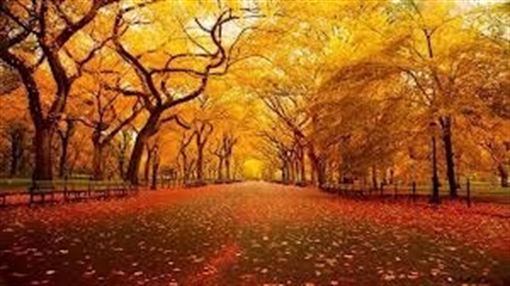 Canciones ideales para comenzar el otoño