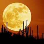 Conoce cuáles son las Lunas más bellas - Fotos Conoce cuáles son las Lunas más bellas - Fotos