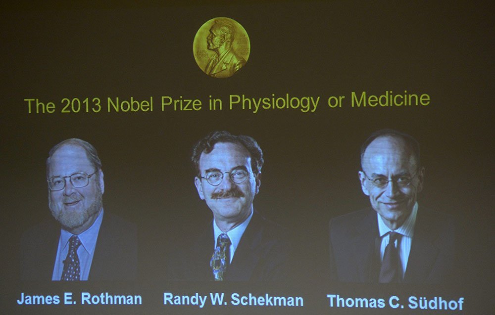 Alemania y Estados Unidos comparten el Nobel de Medicina