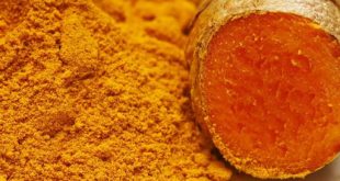 La cúrcuma inhibe la absorción de grasas