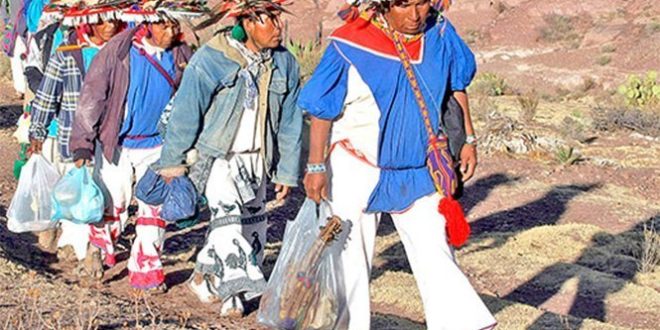 Liberan a indígenas encarceladas por posesión de peyote