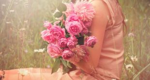 Conoce los beneficios de las Rosas