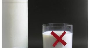 Estudio: Los lácteos debilitan los huesos