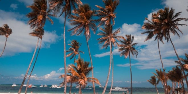 Los cinco imperdibles de Punta Cana