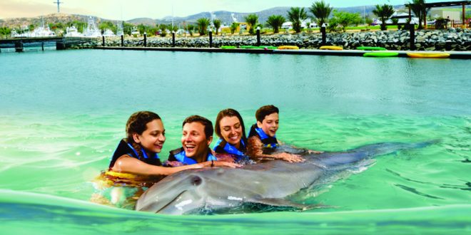 Los Cabos, un lugar para nadar con delfines