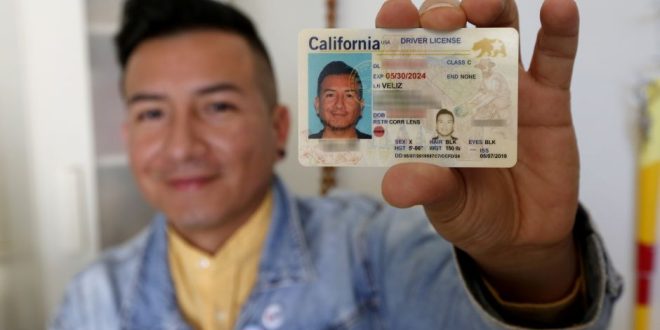¿En qué estados de USA se puede obtener licencia para conducir para indocumentados?