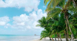 Destinos turísticos: te contamos qué hacer en Cozumel