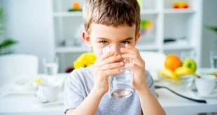 Conoce Las Mejores Soluciones para Obtener Agua Purificada y de Calidad en Casa