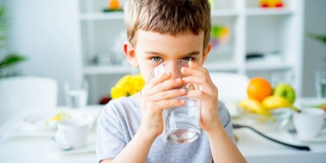 Conoce Las Mejores Soluciones para Obtener Agua Purificada y de Calidad en Casa